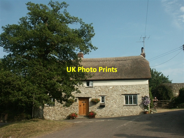 Photo 6"x4" Annings, Farway Farway c2006