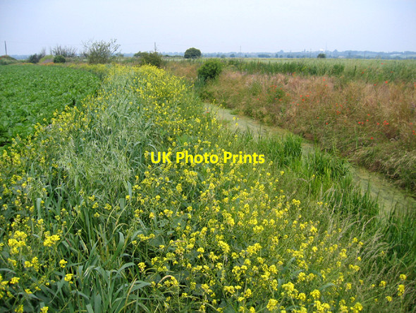 Photo 6"x4" Haddenham Engine Drain, Wilburton, Cambs Elford Closes c2006