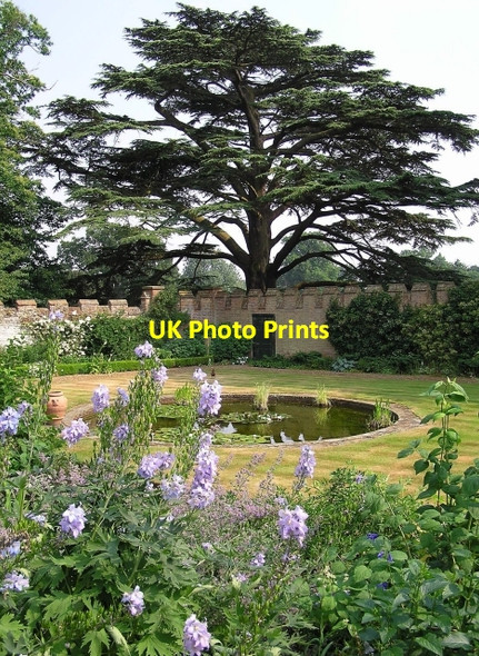 Photo 6"x4" Walled Garden, Intwood Hall Intwood c2006