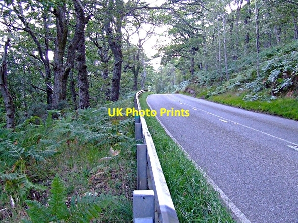 Photo 6"x4" The A949 Bonar Bridge Road Spinningdale c2006