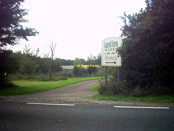 Photo 6"x4" Laurel Farm Curlew Green c2006