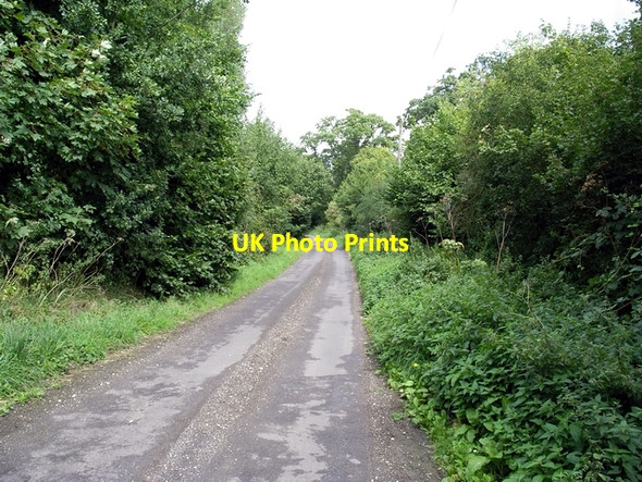 Photo 6"x4" Country road south of Steventon Steventon\/SU5447 c2006