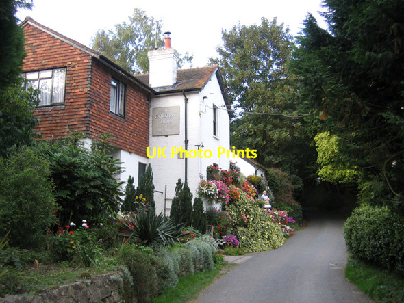 Photo 6"x4" The Golding Hop, Plaxtol, Kent Yopps Green c2006