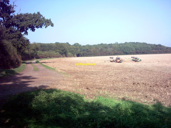 Photo 6"x4" Woodland near Wood Lodge, Cransford Cransford c2006