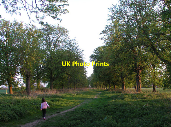 Photo 6"x4" Jubilee Avenue Horsham\/TQ1731 c2006