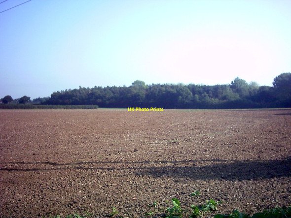 Photo 6"x4" Gold Medal Woods Cransford c2006