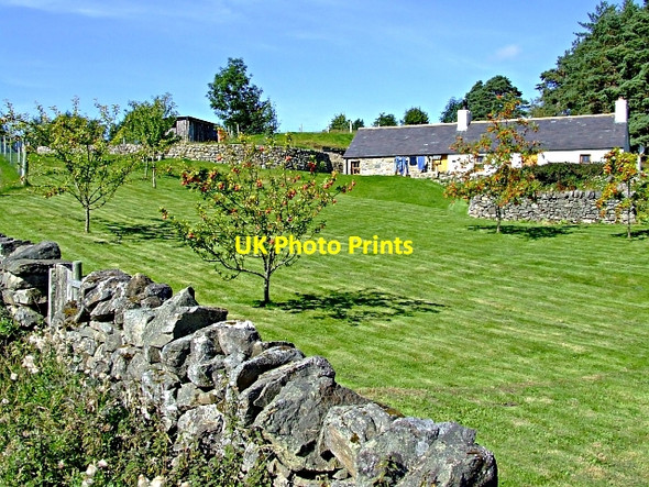 Photo 6"x4" Achintoul near Altass Achnahanat c2006