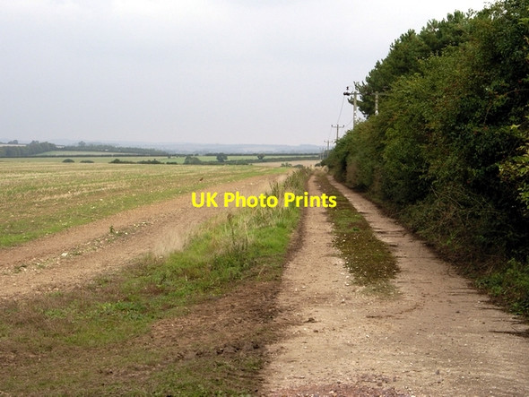 Photo 6"x4" Track off Martins Lane, south east of Chilbolton Chilbolton Down c2006