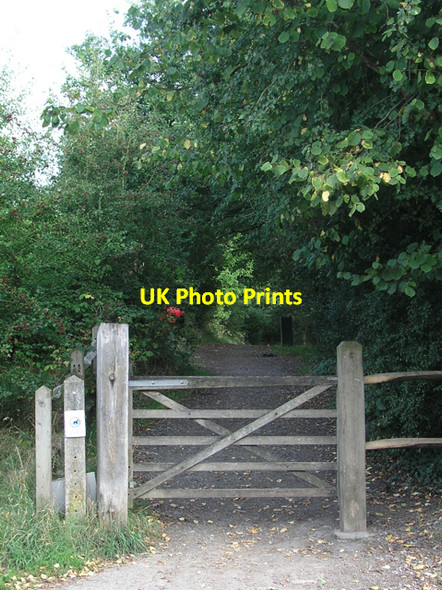 Photo 6"x4" Downs Link (east) from Hayes Lane, Slinfold Park Street\/TQ1131 c2006