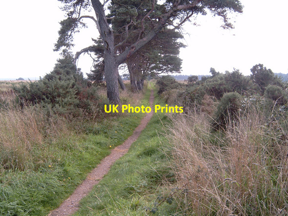 Photo 6"x4" Path - Moss-side to Altonburn Nairn c2006