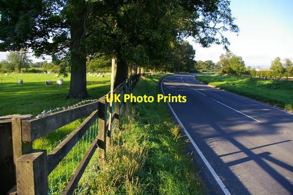 Photo 6"x4" A169 Looking North at Wykeham Ryton\/SE7975 c2006
