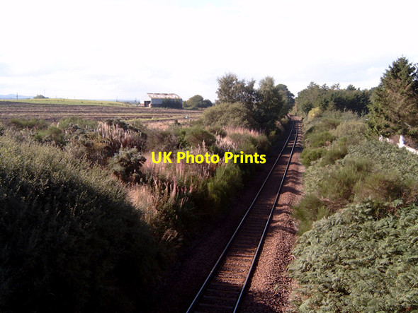 Photo 6"x4" Railway cutting near Easterton (farm) Auldearn Auldearn c2006