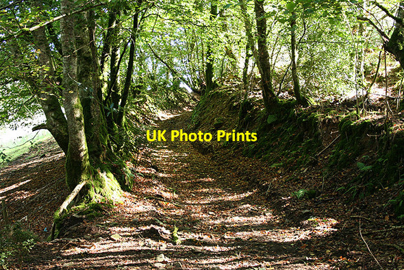Photo 6"x4" Oakford: old track Oakford\/SS9021 c2006