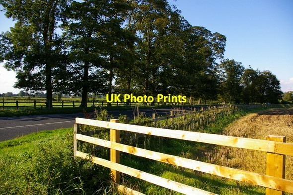 Photo 6"x4" A169 Looking West, Wykeham Ryton\/SE7975 c2006