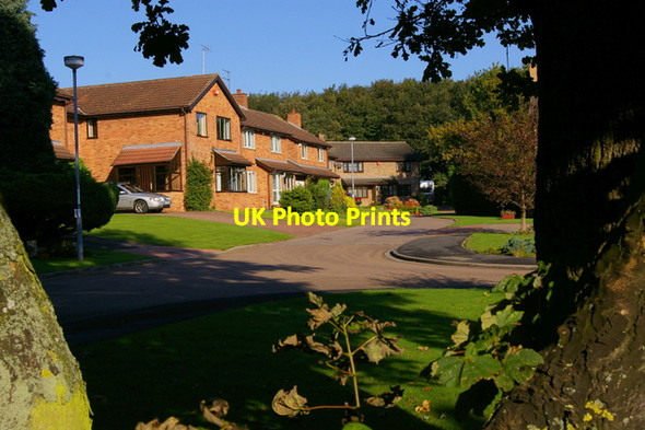 Photo 6"x4" Tall Trees, off Jenny Brough Lane, Hessle Hessle\/TA0326 c2006