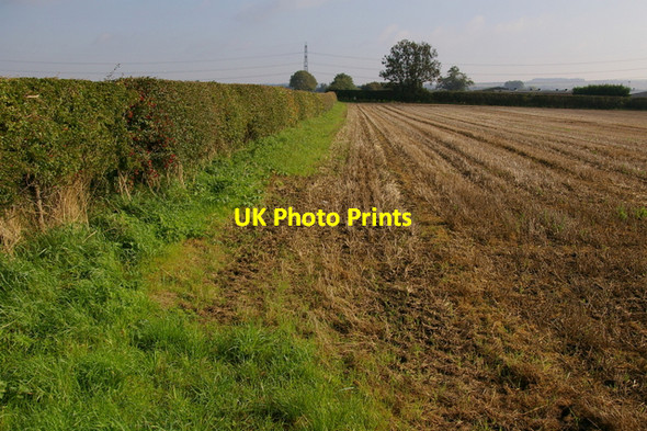 Photo 6"x4" Field at Weighton Common Market Weighton c2006