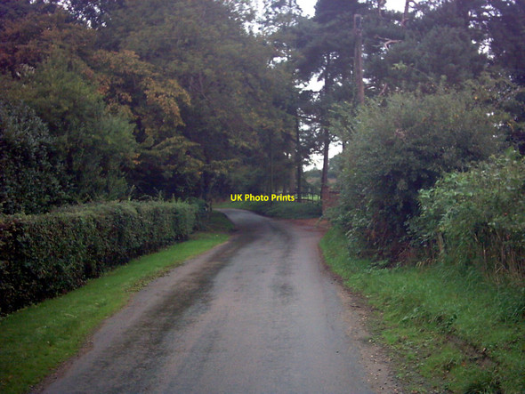 Photo 6"x4" Wash Road, Spexhall Broadway\/TM3978 c2006