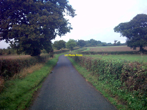 Photo 6"x4" Lane near Bleach Farm Spexhall c2006