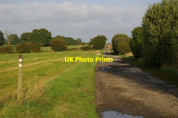Photo 6"x4" Wormingford Peri Track Fordham\/TL9228 c2006