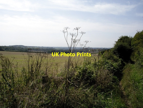 Photo 6"x4" Looking south west from Ox Drove Morestead c2006