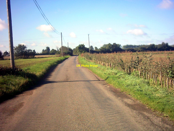 Photo 6"x4" Chediston Road near Leggetts Farm Chediston Green c2006