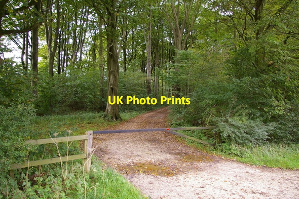 Photo 6"x4" Gate to Woodland B1252 Sledmere c2006