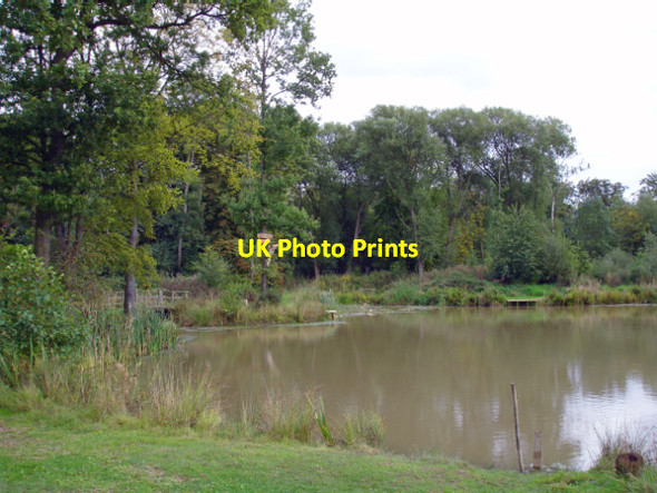 Photo 6"x4" Capenhurst - fishing pond in Big Wood Capenhurst c2006