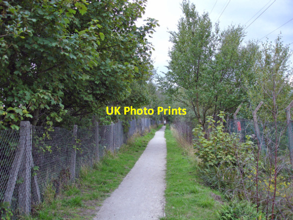 Photo 6"x4" Hooton - the Wirral Way Willaston\/SJ3377 c2006