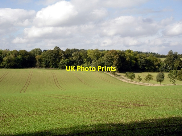 Photo 6"x4" Field west of lane from Ovington Ovington\/SU5631 c2006