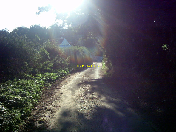 Photo 6"x4" Church Road, Stone Common Blaxhall c2006 P1