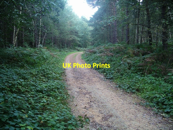 Photo 6"x4" A bend in the track Lidgett c2006