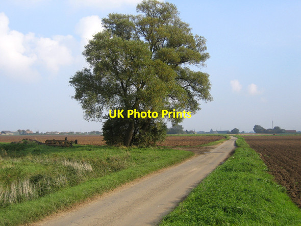 Photo 6"x4" Willow beside Wargate Field Lane, Gosberton, Lincs Belnie c2006