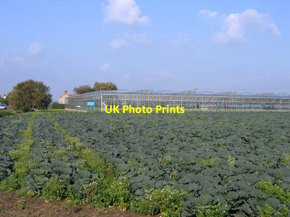 Photo 6"x4" Nursery, Hoffleet Stow, Lincs Hoffleet Stow c2006