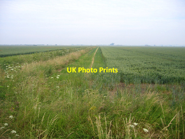 Photo 6"x4" Setchell Fen, Cottenham, Cambs Chittering c2006