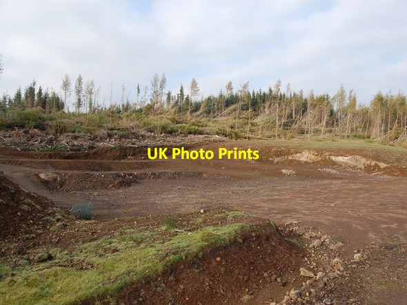 Photo 6"x4" Forestry at Skeabost Carbost\/NG4248 c2006