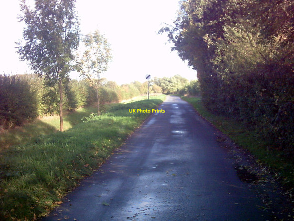Photo 6"x4" Owls Green near Brundish Brundish\/TM2769 c2006