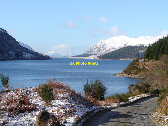 Photo 6"x4" Loch Ericht Loch Ericht Forest c2006