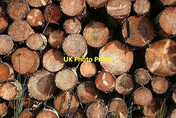Photo 6"x4" Sawn Logs Auchinderran\/NJ4055 c2006