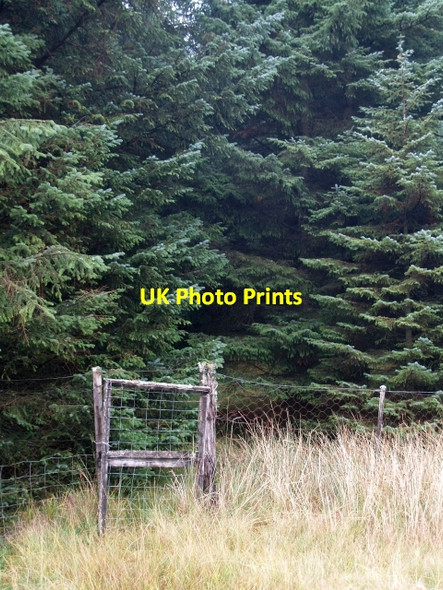 Photo 6"x4" Forest gate, near Bridge of Ericht Bridge of Gaur c2006
