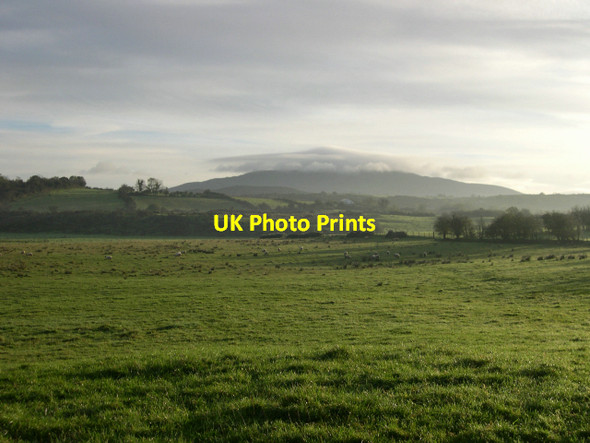 Photo 6"x4" Land surrounding The Dorsy River Creggan\/H9316 c2006