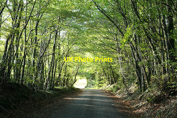Photo 6"x4" Chulmleigh: near Challacombe Cross Chulmleigh c2006