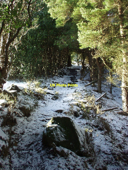 Photo 6"x4" Footpath above Daisy Bank Hebden Bridge c2003