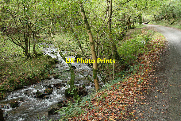 Photo 6"x4" Luccombe: East Water Valley Luccombe\/SS9144 c2006