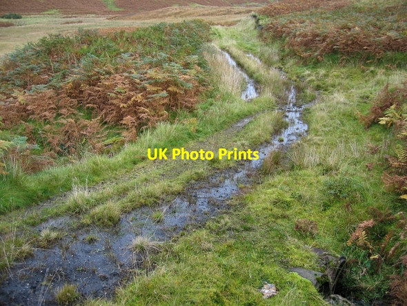 Photo 6"x4" Track in Sumardale Coillore c2006