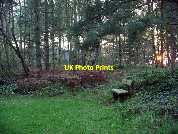 Photo 6"x4" Bench, Sherwood Pines Kings Clipstone c2006