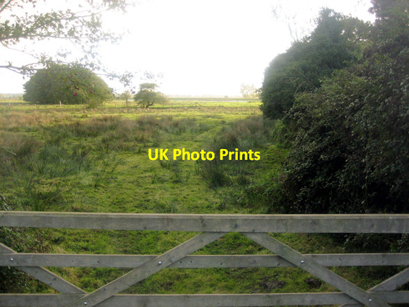 Photo 6"x4" Strumpshaw Common Buckenham c2006