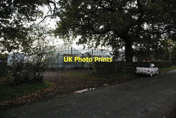 Photo 6"x4" Glasshouses in Station Road Worleston c2006