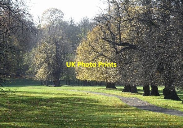Photo 6"x4" Path, Wollaton Park Beeston\/SK5236 c2006