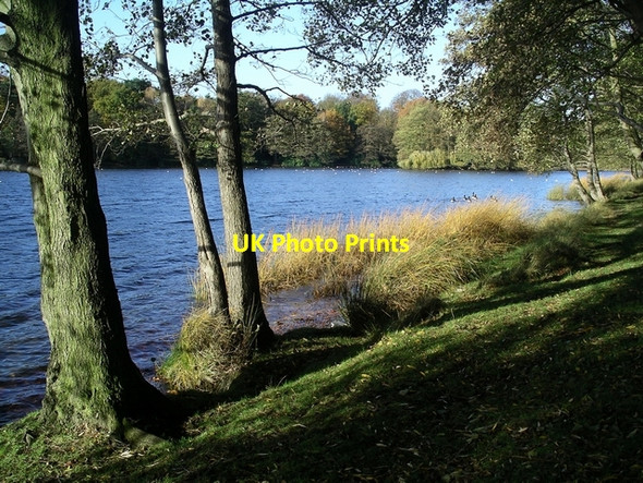 Photo 6"x4" Wollaton Park Lake Beeston\/SK5236 c2006