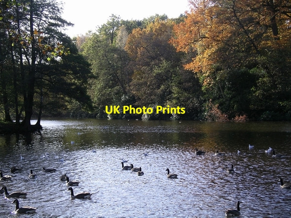 Photo 6"x4" The lake, Wollaton Park. Beeston\/SK5236 c2006